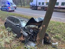 Zasnął za kółkiem i rozbił się na drzewie. Wypadek w miejscowości Dąbrowa