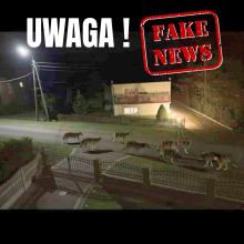 Zamieszanie wokół rzekomej watahy. Leśnicy: to fotomontaż z AI!