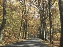 Jaki będzie początek listopada? Wszystkich Świętych w Opolu z jesiennym słońcem zamiast mrozu