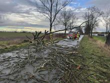 Silny wiatr nad Opolszczyzną. Strażacy interweniowali blisko 60 razy