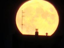 Bobrzy Księżyc. Zbliża się listopadowa superpełnia