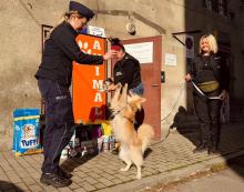 Wsparli bezdomne psiaki. Piękna akcja policjantów z Kędzierzyna-Koźle