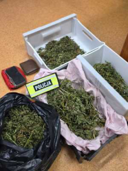 Jeden uciekł z ośrodka, drugi uprawiał konopie w mieszkaniu. Obaj już są w rękach policji