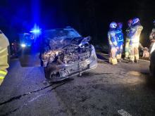 Zderzenie samochodu ze zwierzęciem na drodze wojewódzkiej 426. Jedna osoba trafiła do szpitala