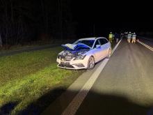 Zderzenie osobówki ze zwierzyną w Bzinicy Starej