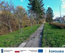 Ruszają kolejne prace przy nowych trasach pieszo-rowerowych w Opolu