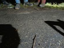 Służby usunęły zagrożenie na drodze. Wciąż pozostaje pytanie: kto i po co to zrobił?