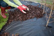 Agrowłóknina czy agrotkanina? Co wybrać przy zakładaniu ogrodu