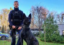 Posterunkowa Lara zakończyła szkolenie. Nowy pies patrolowo-tropiący w opolskiej Policji