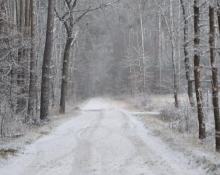 Możliwe śnieżyce? Co mówią prognozy?