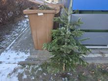 Co zrobić z choinką i o czym trzeba pamiętać