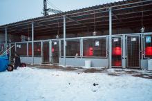 Schroniska dla zwierząt pod stałym nadzorem. Zimą kontrole zostały wzmocnione