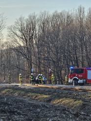 Zderzenie czeskiego pociągu z samochodem w Pokrzywnej