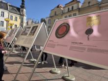 Na rynku w Opolu stanęła wystawa "Opolanki". Przypomina kobiety ważne dla historii miasta