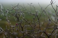 IMGW wydał ostrzeżenie dla Opolszczyzny