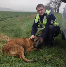 Policja prosi o pomoc w odnalezieniu właściciela AKTUALIZACJA