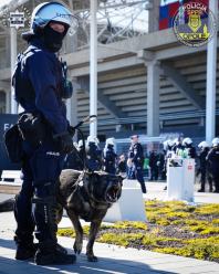 Policja zabezpieczała mecz Odry Opole. Zatrzymania i mandaty dla kibiców