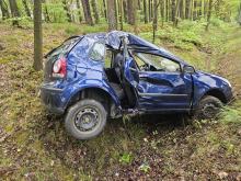Samochód wypadł z drogi między Jełową a Dąbrówką Łubniańską