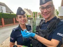 Ozimscy policjanci ruszyli na pomoc. Nietypowy "poszkodowany" nie mógł odlecieć