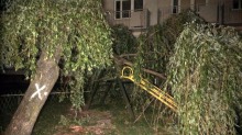Drzewo przewróciło się na osiedlowy plac zabaw. Mogło dojść do tragedii.