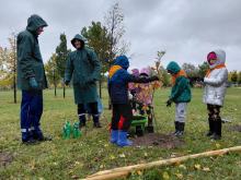 35 nowych dębów w Parku 800-lecia w Opolu. Posadzono je z okazji jubileuszu Straży Granicznej