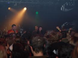 Koncert Hey