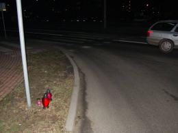 24 letnia kobieta zginęła pod kołami
