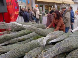 RMF rozdaje choinki