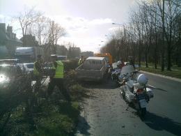 Wjechał w żywopłot