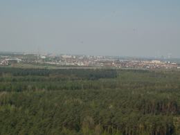 Pożar lasu