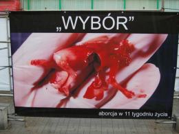 Wstrząsająca wystawa na Krakowskiej.