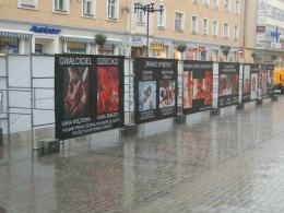 Wstrząsająca wystawa na Krakowskiej.