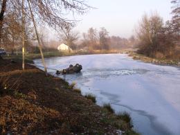 Wjechał samochodem do stawu