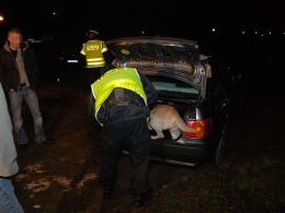 Nocna akcja policji
