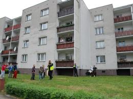 Wiązał kucyka do balkonu
