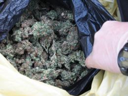 Policja zabezpieczyła ponad 2 kg marihuany