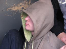 Policja zabezpieczyła ponad 2 kg marihuany