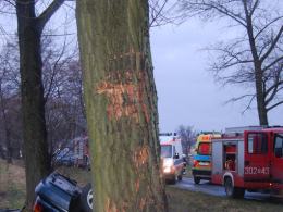 Nie dostosował prędkości, wypadł z drogi