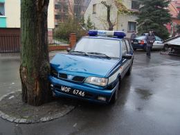 Radiowóz uderzył w drzewo