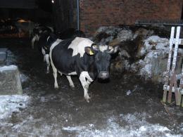 Trwa dogaszanie pożaru budynku