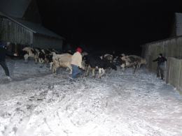 Trwa dogaszanie pożaru budynku