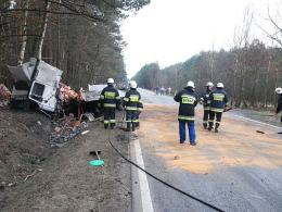 Ciężarówka uderzyła w drzewo
