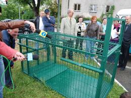 Chcą złapać pumę do klatki