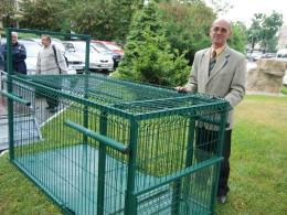Chcą złapać pumę do klatki