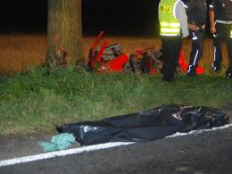 Fiesta roztrzaskała się na drzewie