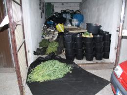 Zabezpieczono 15 kilogramow marihuany