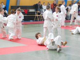 Najmłodsi judocy Europy w Opolu
