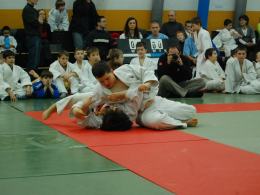 Najmłodsi judocy Europy w Opolu