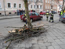 Konar drzewa spadł na samochód