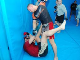 MMA: Prawie wszystkie chwyty dozwolone